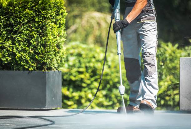 Best Gutter Cleaning  in Pocahontas, AR