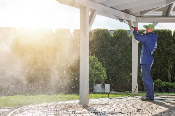 Best Warehouse Cleaning  in Pocahontas, AR